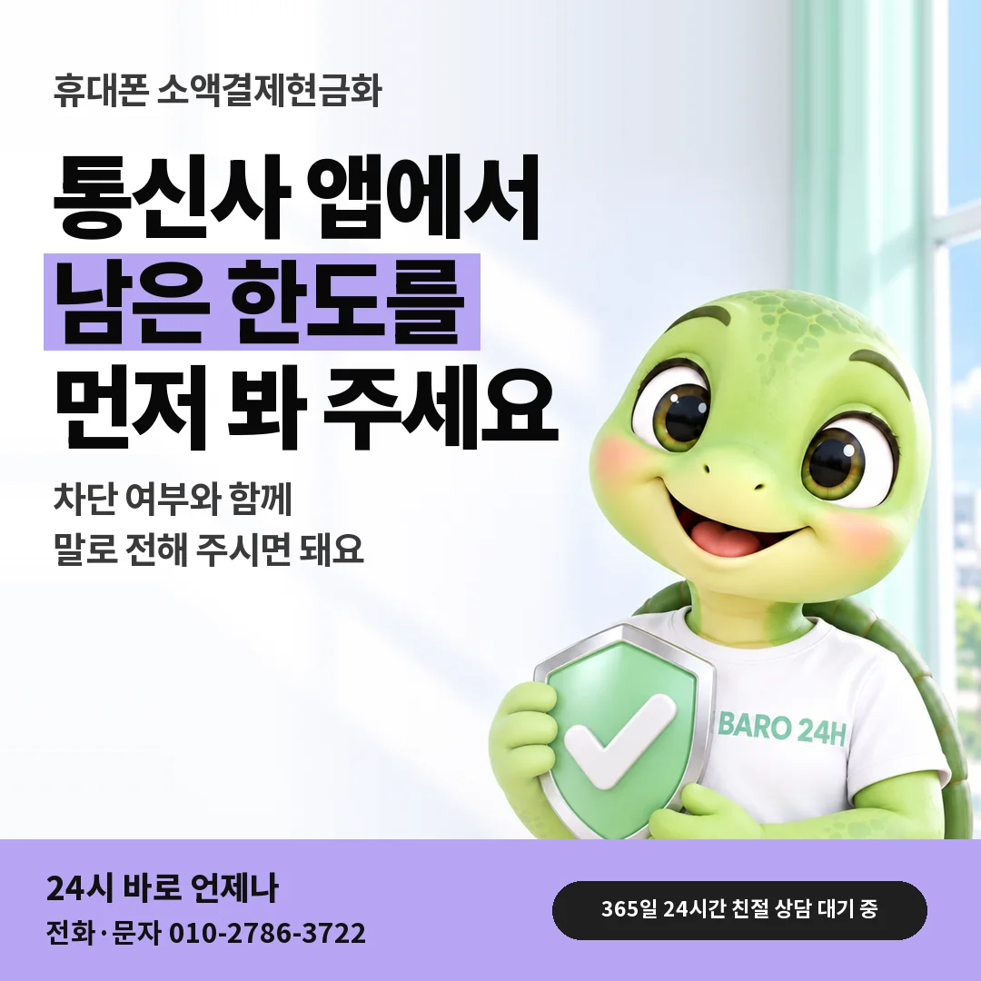 방패를 든 BARO 24H 티셔츠를 입은 3D 거북이 캐릭터 옆에 「휴대폰 앱에서 한도 확인하기」 제목을 얹은 안내 카드